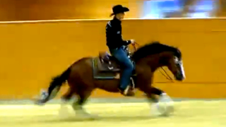Michael Schumacher Liked Texas Enough To Buy A Ranch There
